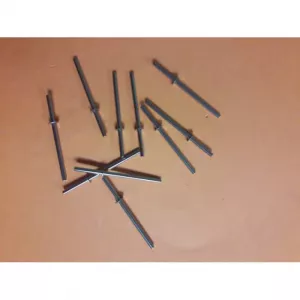 ���� 3��